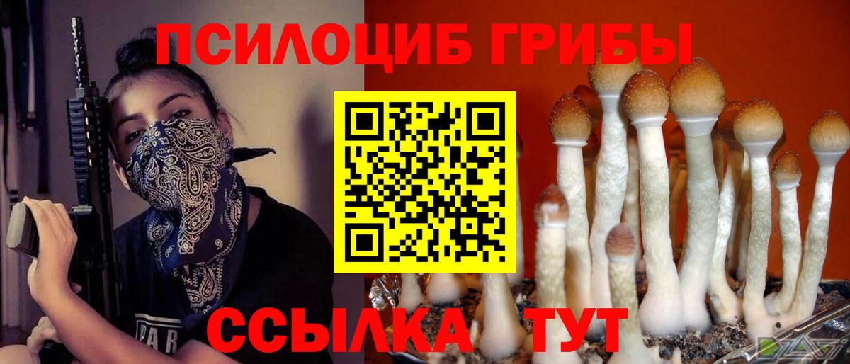 Воскресенск  Псилоцибиновые грибы ЛСД  Псилоцибиновые грибы Psilocybine cubensis  Вход с VPN 